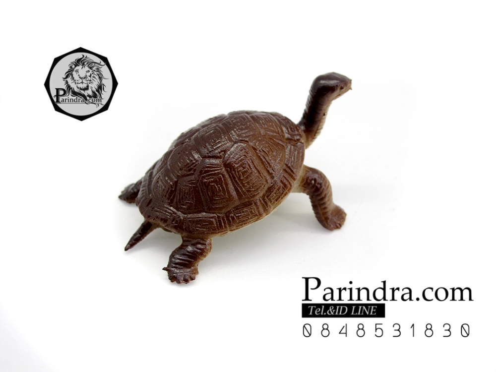 โมเดลเต่ายักษ์กาลาปากอส ชุดคู่สองตัว