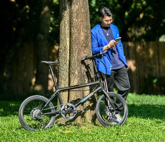 DAHON 40th Anniversary Mini Carbon Bike | Premium Folding Carbon Bike - Limited Edition