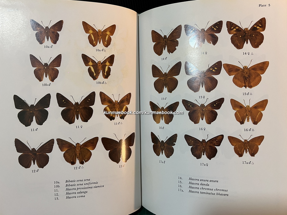 Butterflies in Thailand Volume 5 By Bro.Amnuay Pinratana