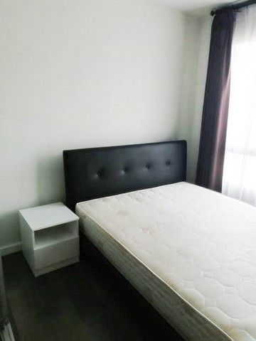 ให้เช่าดี คอนโด แคมปัส รีสอร์ท รังสิต ขนาด 30 ตรม.เครื่องใช้ไฟฟ้าครบ ใกล้ธรรมศาสตร์