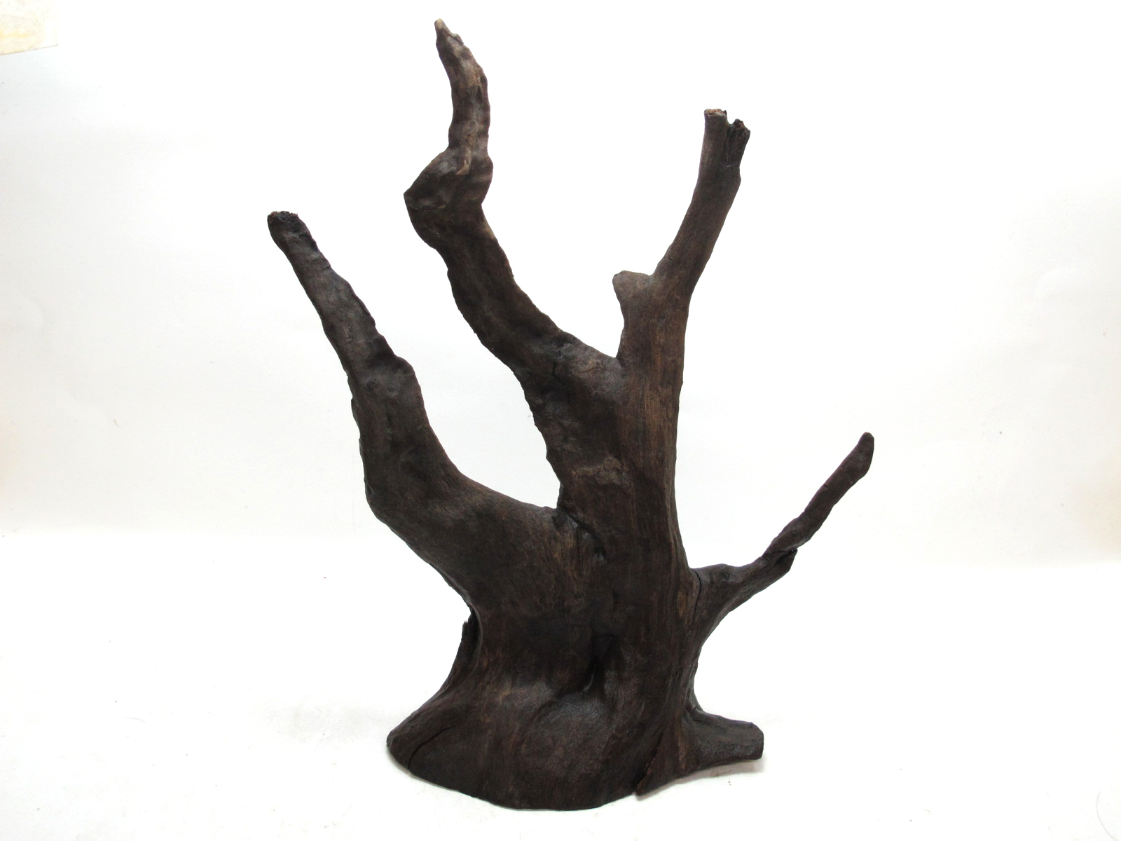 ขอนไม้ตกแต่งตู้ปลาหรือใช้เลี้ยงสัตว์เลื้อยคลาน 010