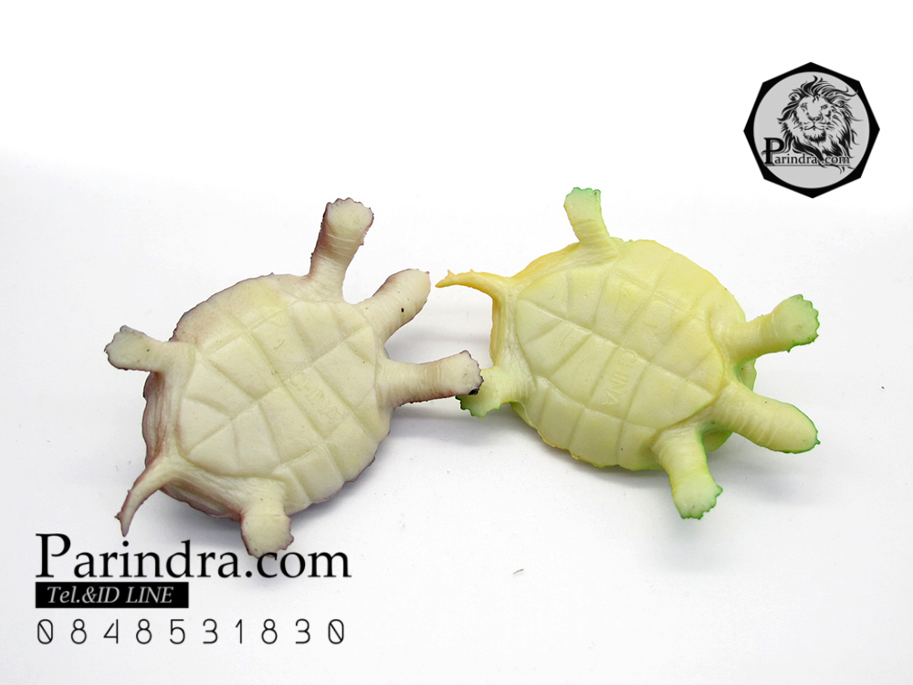 โมเดลเต่าญี่ปุ่น ชุดคู่สองตัว