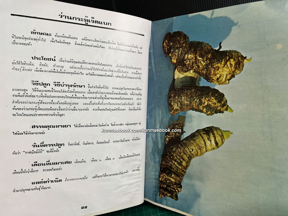 108 ว่านมหัศจรรย์ ผลงานของ เชษฐา พยากรณ์ , ส.เปลี่ยนศรี , อุทัย ธานี