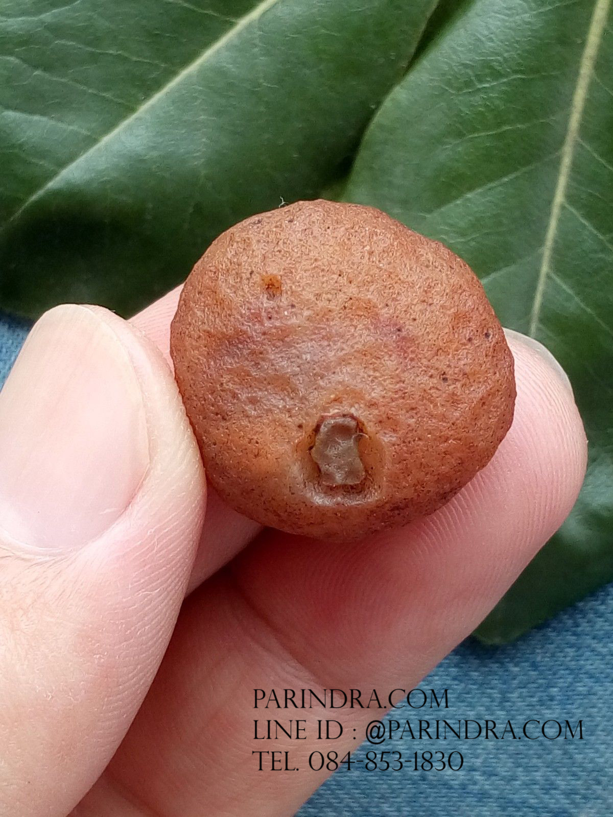 หินรูปทรงประหลาดจากทะเลทรายโกบี GOBI Eye Stone #GOBI006