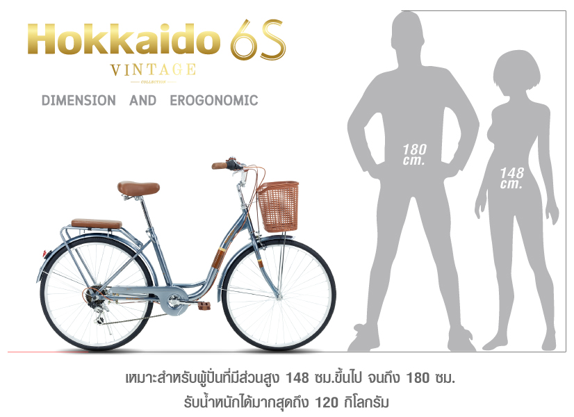 จักรยานแม่บ้าน Tiger hokkaido City bike รุ่น ฮอกไกโด ล้อ 26 นิ้ว พร้อมตะกร้าวินเทจ 7speed