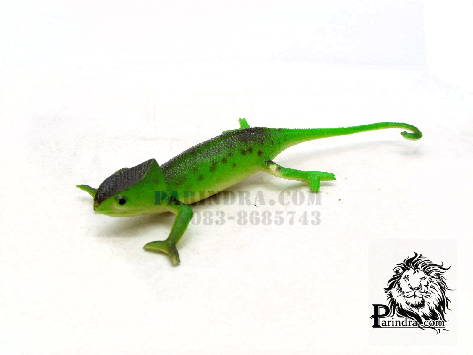โมเดลกิ้งก่าคาเมเลี่ยน Chameleon Model