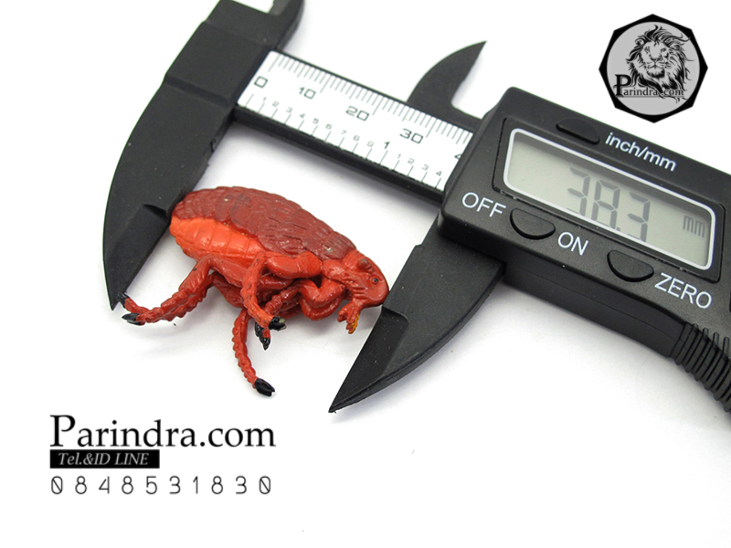 โมเดลตัวหมัดแดง