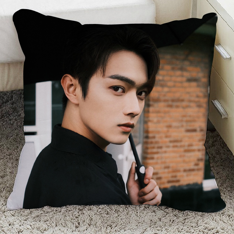 หมอน สวี่ข่าย (40*40 cm.)