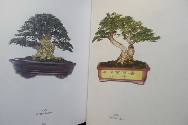 อนุสรณ์ นางอุบล พุกกะณะสุต ท.ช.,ท.ม. *ผู้ถวายพระอักษร(ภาษาอังกฤษ) สมเด็จพระเทพรัตนสุดาฯ