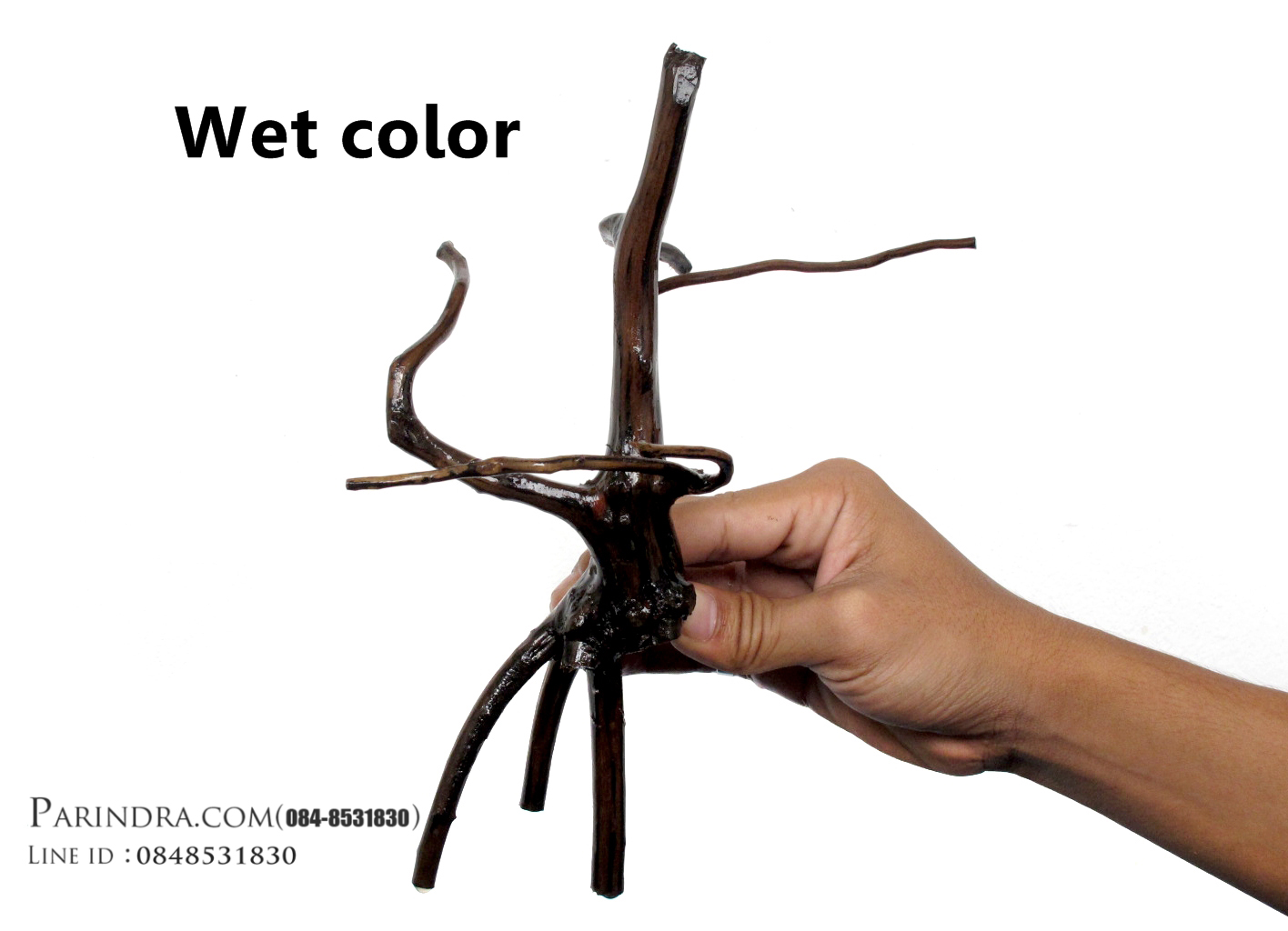 ขอนไม้ตกแต่งตู้ปลาหรือใช้เลี้ยงสัตว์เลื้อยคลาน 015