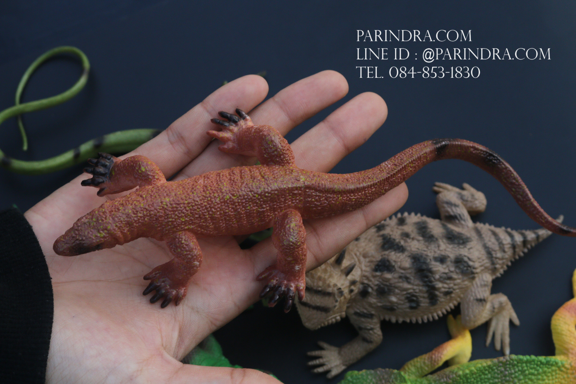 โมเดลสัตว์ชุด รวมสัตว์เลื้อยคลาน Reptile MIXED