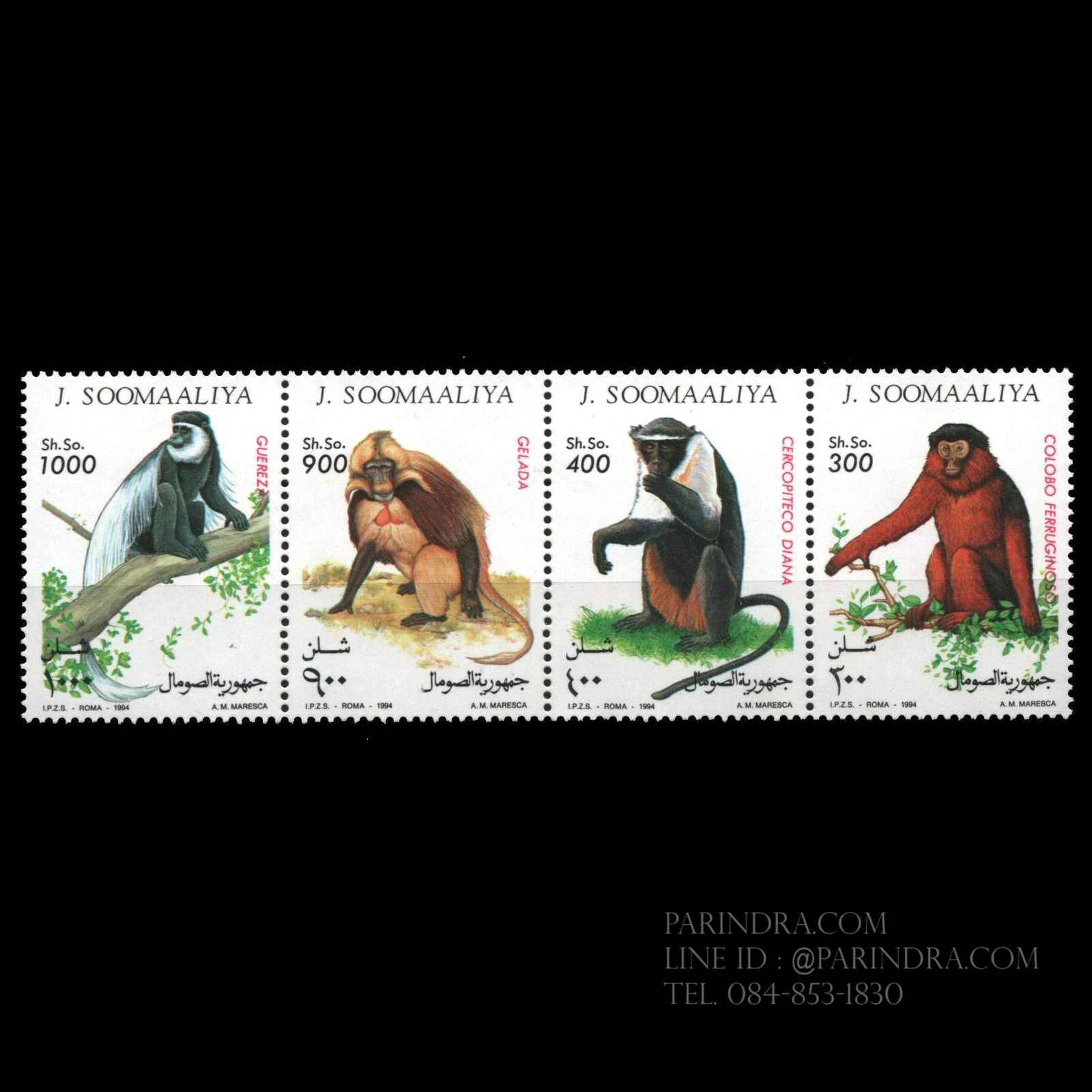 แสตมป์โซมาเลีย ชุด WILD ANIMALS - PRIMATES ลิงชนิดต่างๆในโซมาเลีย ปี 1994 - SOMALIA