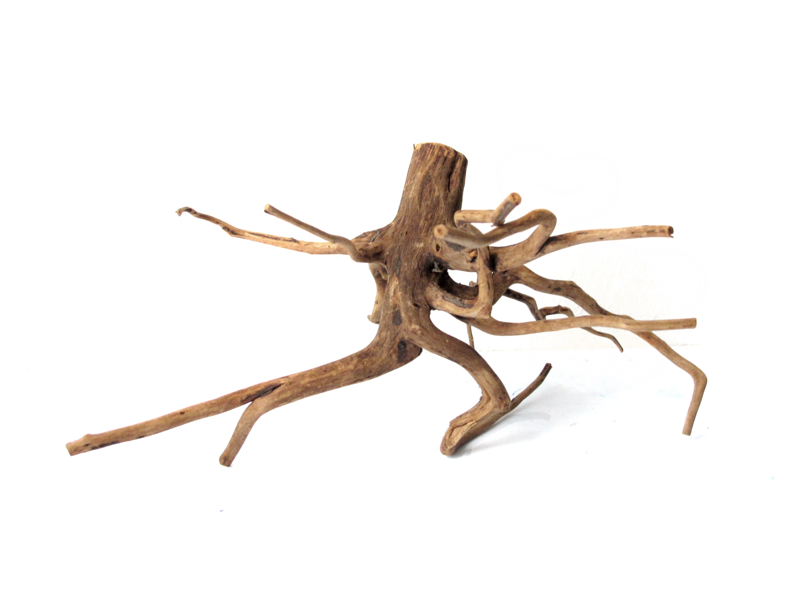 ขอนไม้ตกแต่งตู้ปลาหรือใช้เลี้ยงสัตว์เลื้อยคลาน 011