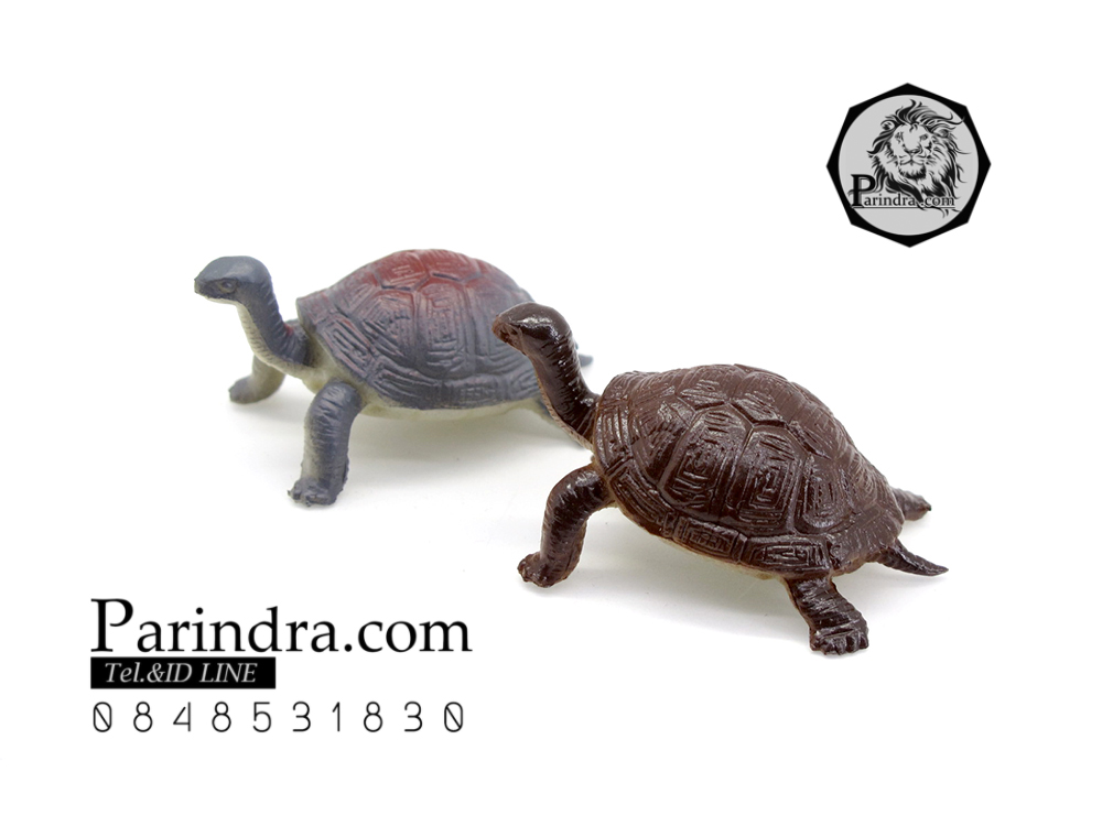 โมเดลเต่ายักษ์กาลาปากอส ชุดคู่สองตัว