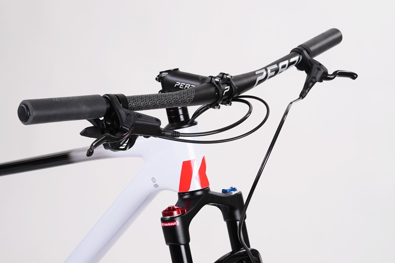 จักรยานเสือภูเขา KAZE RACE SLASH 29er STD (standard version) LTwoo , AX - 12 speed 1*12 สปีด 2024