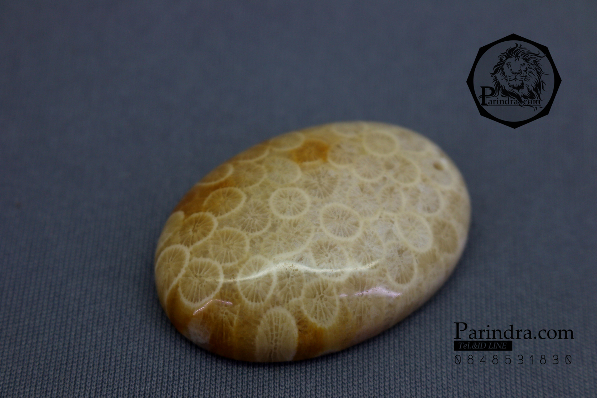 ฟอสซิลหินปะการังขัด Fossil Coral ใหญ่และหนา สำหรับห้อยคอ หรือ พวงกุญแจ คัดสวยพิเศษ #CRF013