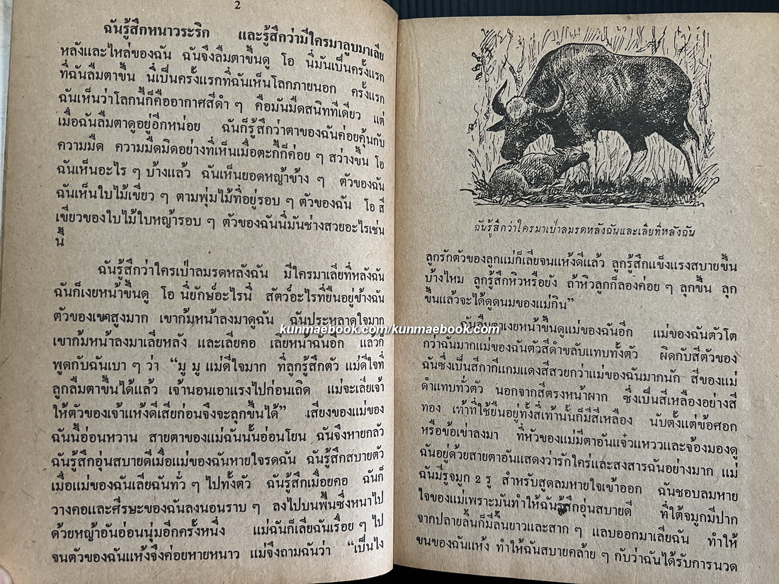 ชีวิตของฉันลูกกระทิง *หนังสือดีร้อยเล่มที่เด็กและเยาวชนไทยควรอ่าน*