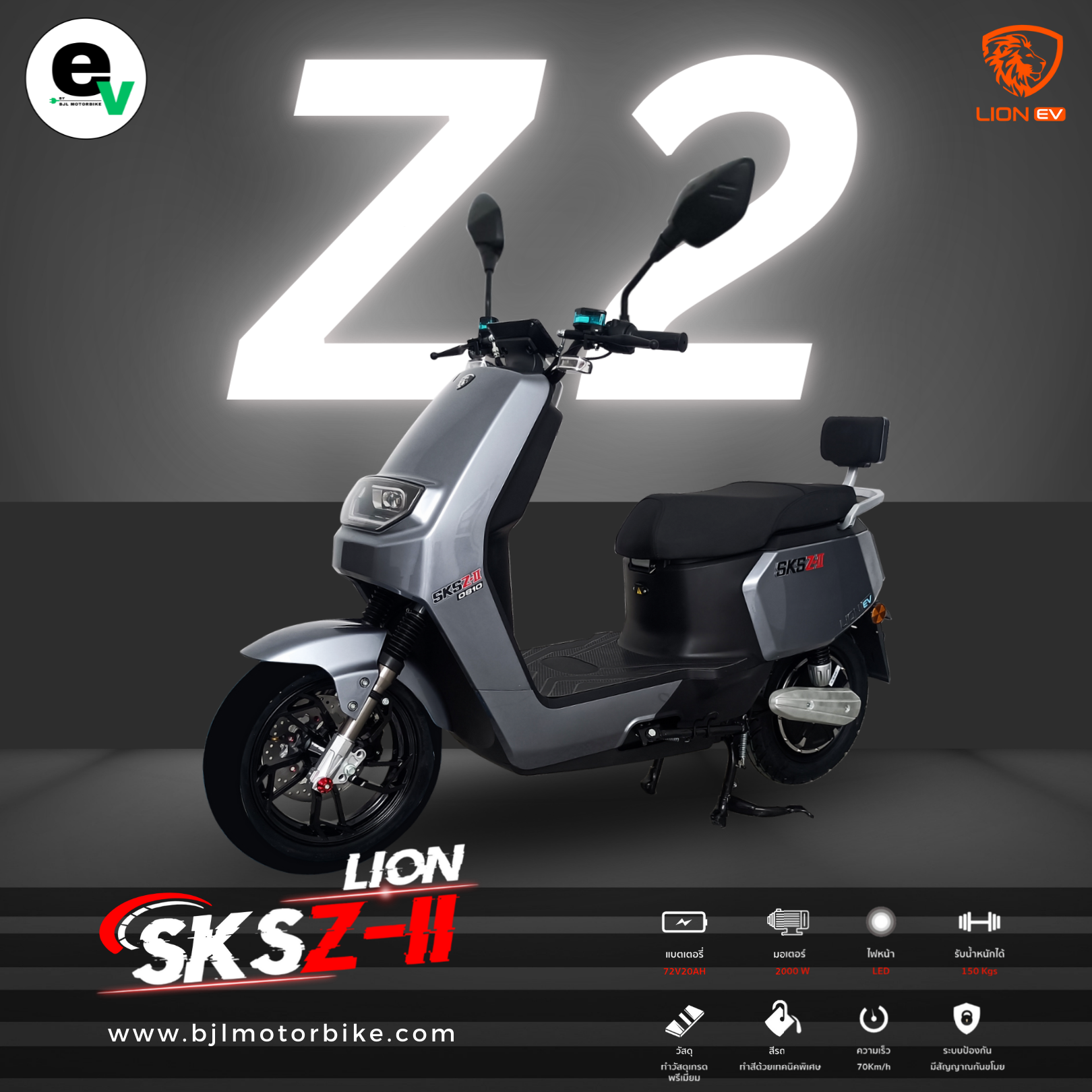LION SKS Z2 GREY