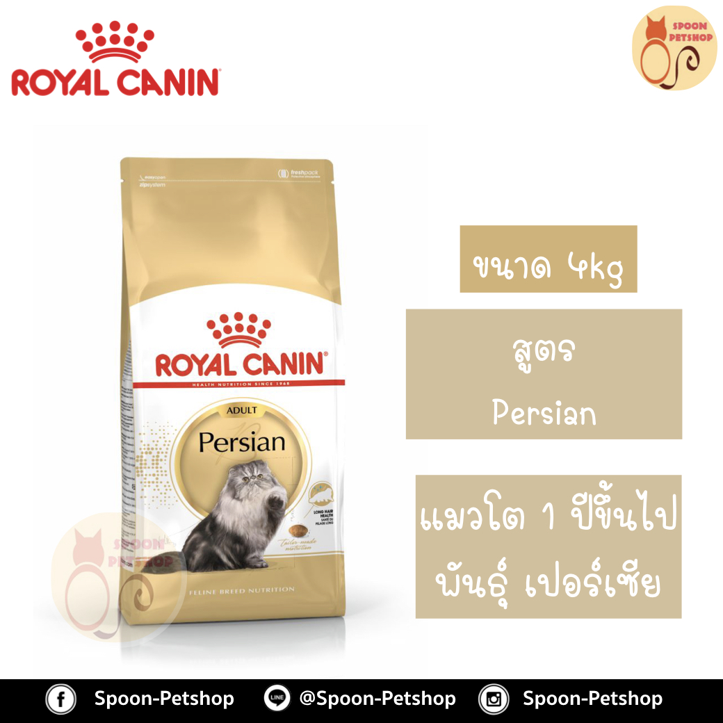 Royal Canin อาหารแมว โรยัล คานิน Persian 30 แพ็คโรงงาน 4kg สำหรับ แมวเปอร์เซีย ที่ต้องการดูแลเป็นพิเศษ