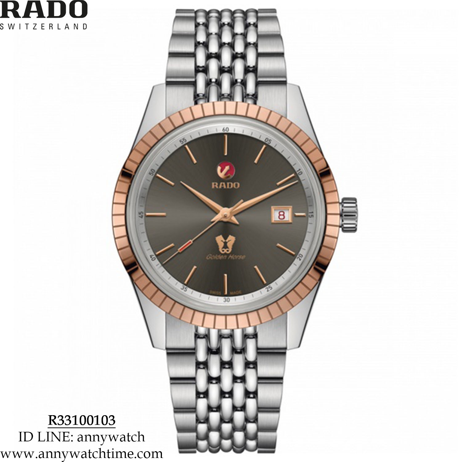 RADO R33100103