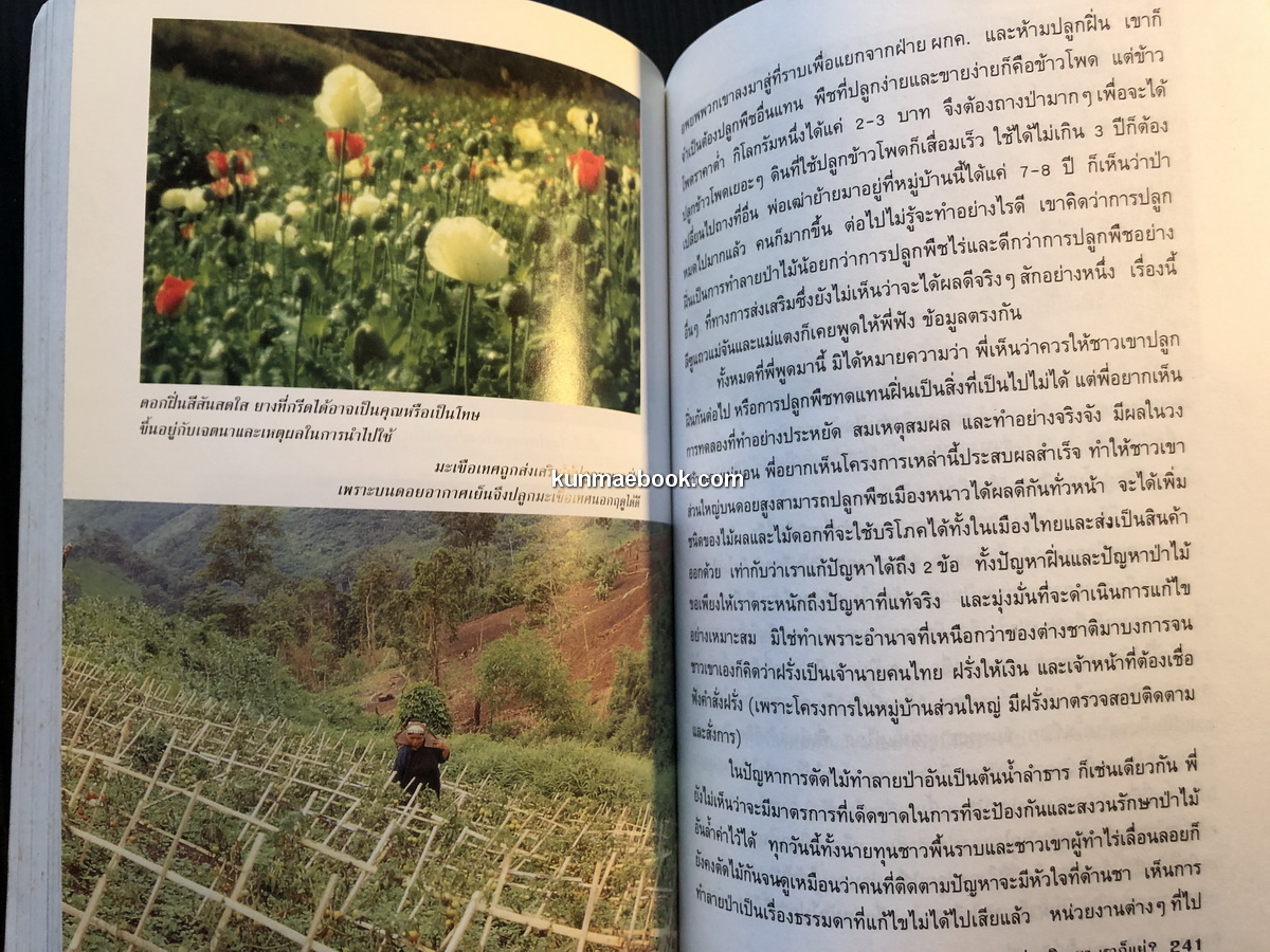 แม่จัน สายน้ำที่ผันเปลี่ยน ผลงานของ เตือนใจ ( กุญชร ณ อยุธยา ) ดีเทศน์