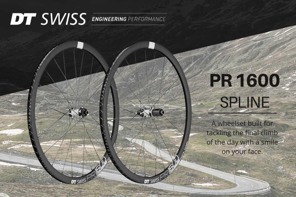ชุดล้อเสือหมอบ DT Swiss PR 1600 Spline 23 Road Wheels 5/100/130/SHI-ROAD/11 SP (4453/54)
