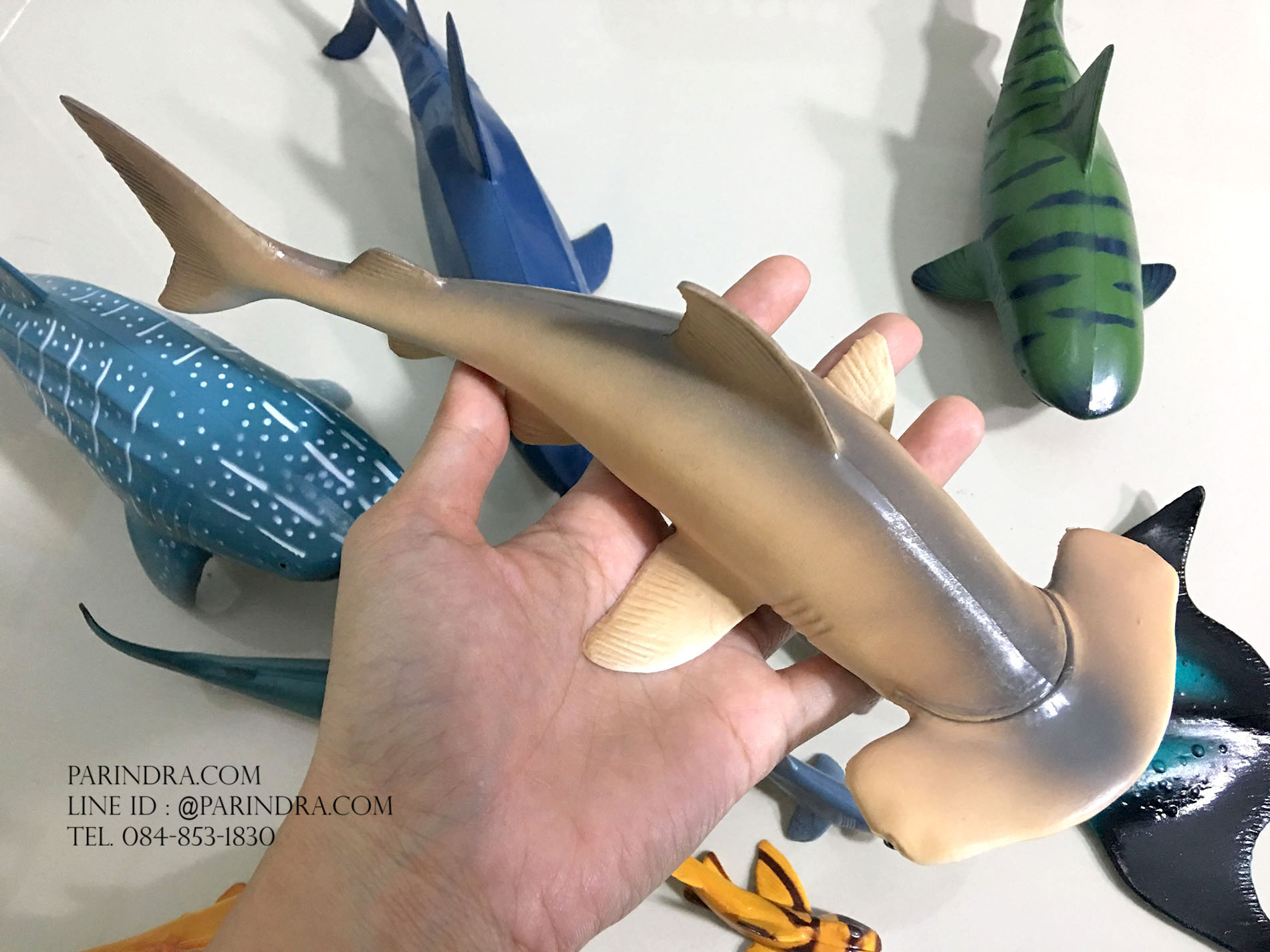 โมเดลสัตว์ทะเล ชุด Ocean World กลุ่ม ฉลาม หลากหลายสายพันธุ์