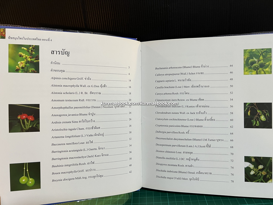 พืชสมุนไพรในประเทศไทย ตอนที่ 4
