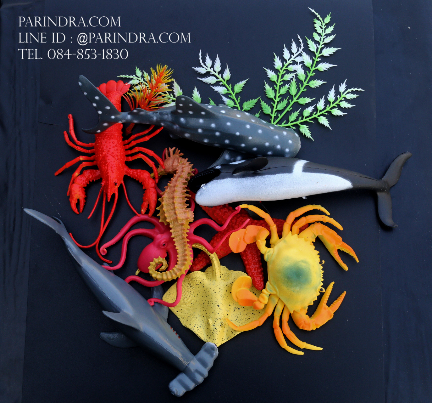 โมเดลสัตว์ทะเล Sea Animal 9 ชนิด