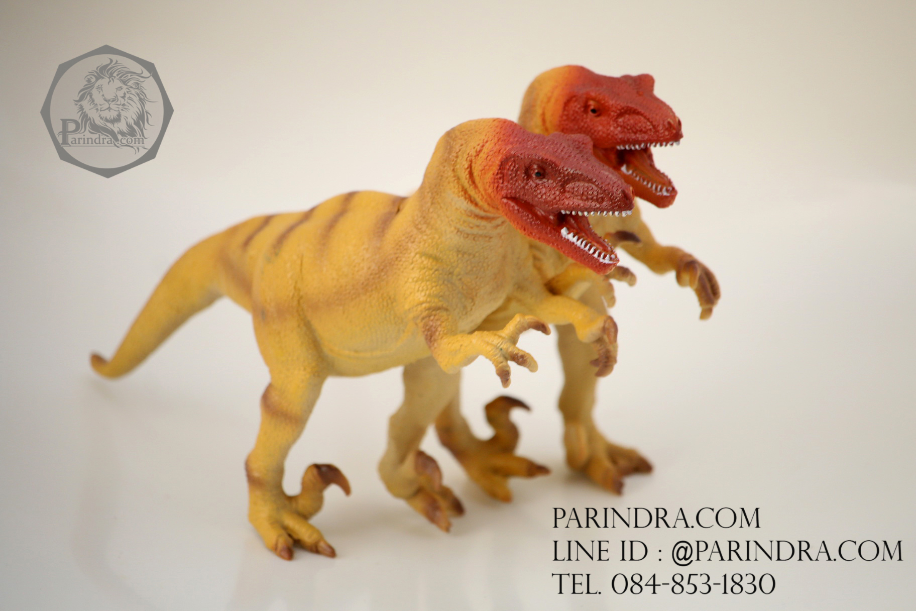 โมเดลไดโนเสาร์ Velociraptor (เวโลซีแรปเตอร์)
