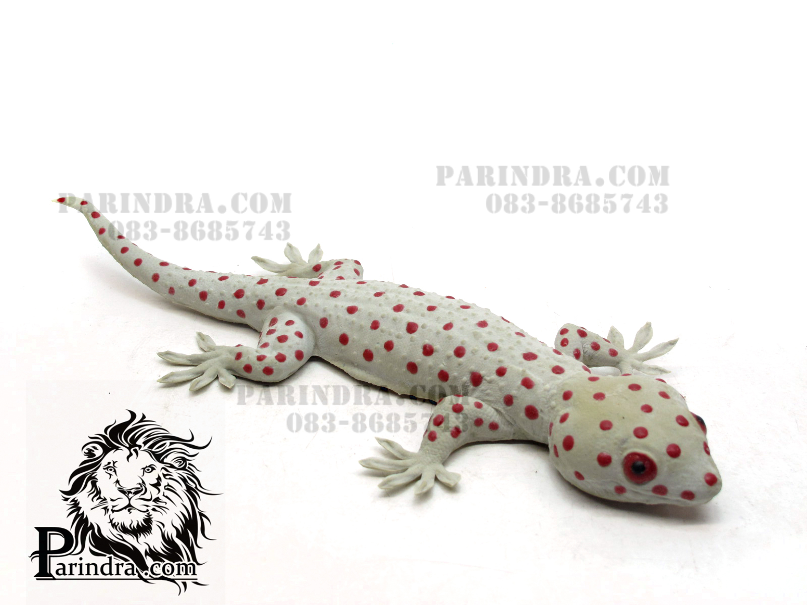 ตุ๊กแกปลอมตัวใหญ่ เหมือนจริงมาก ออกสีเผือก