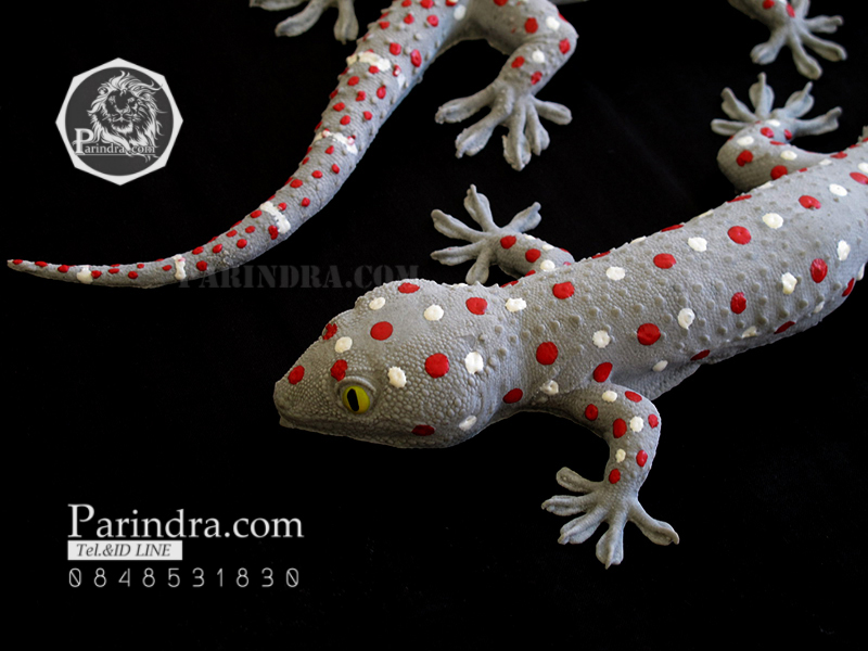 ตุ๊กแกปลอมตัวใหญ่ มาใหม่ เหมือนจริงมาก ขนาด 11 นิ้ว ตัวพ่อ