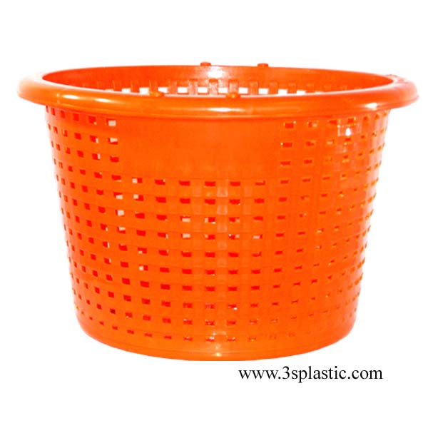 804 หลัวจัมโบ้ / หอย ขนาด Ø 57.5 x 38 cm. บรรจุ 55 kg