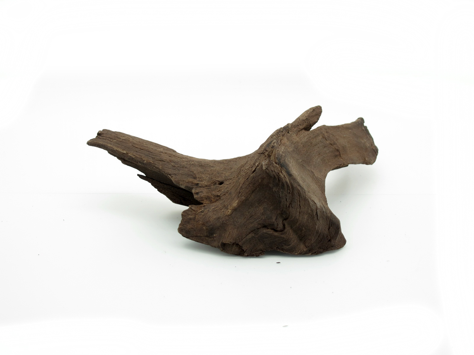 ขอนไม้ตกแต่งตู้ปลาหรือใช้เลี้ยงสัตว์เลื้อยคลาน 062