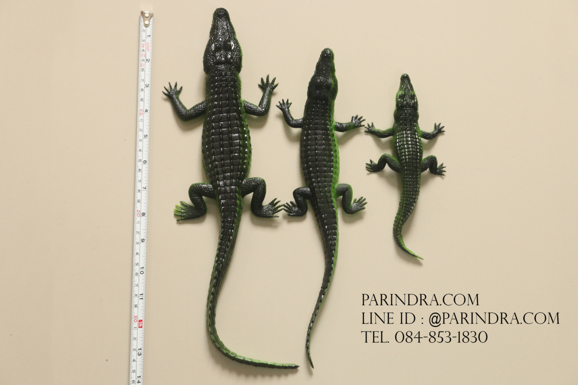 โมเดลครอบครัวจระเข้ พ่อ แม่ ลูก