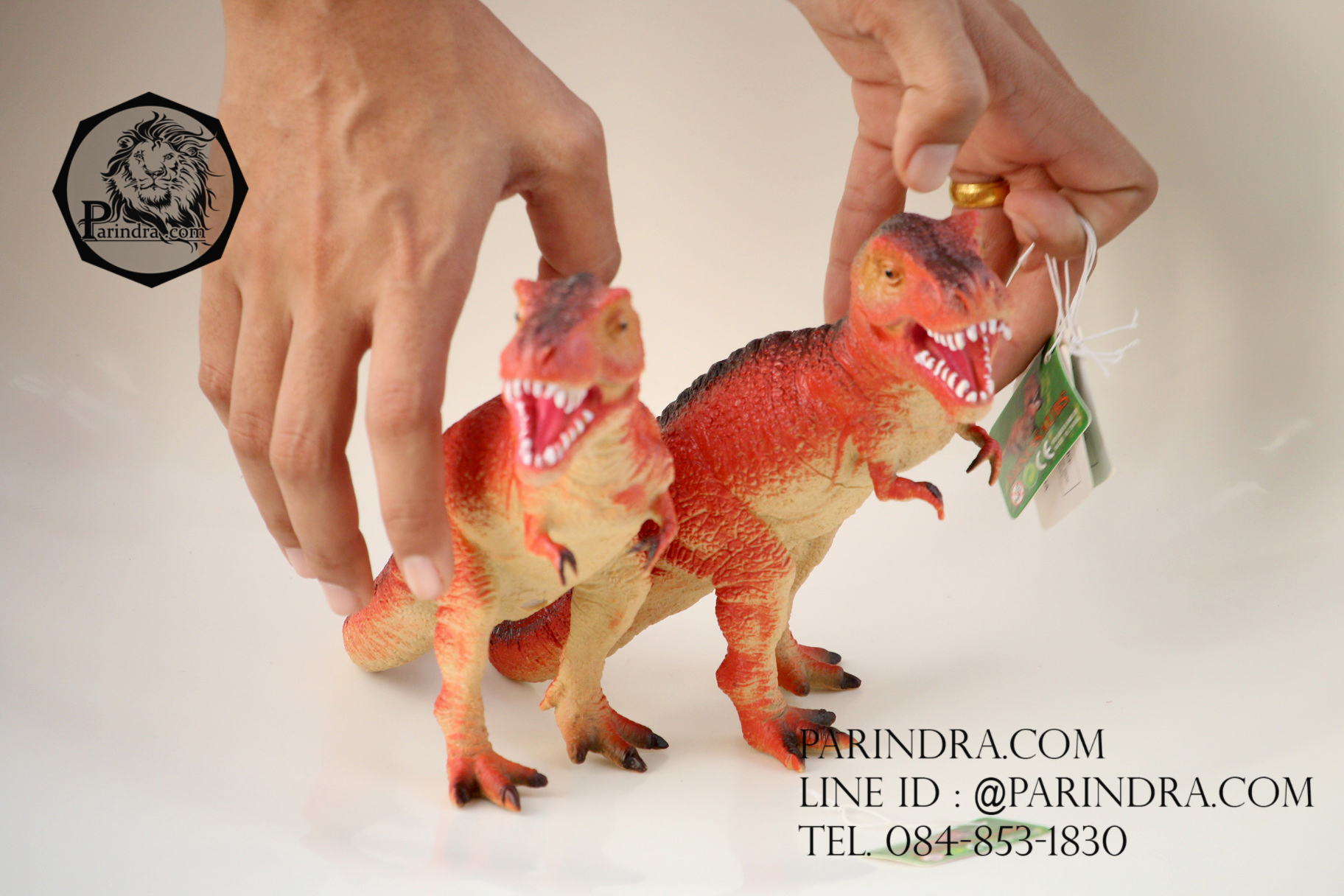 โมเดลไดโนเสาร์ Tyrannosaurus Rex (T-Rex)