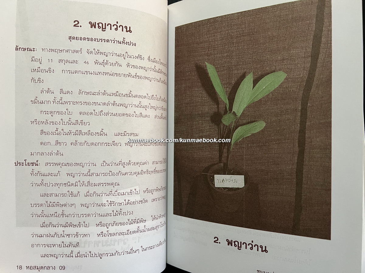 ชุมนุมว่านยาและไม้มงคล ผลงานของ รังว่าน ปากช่อง