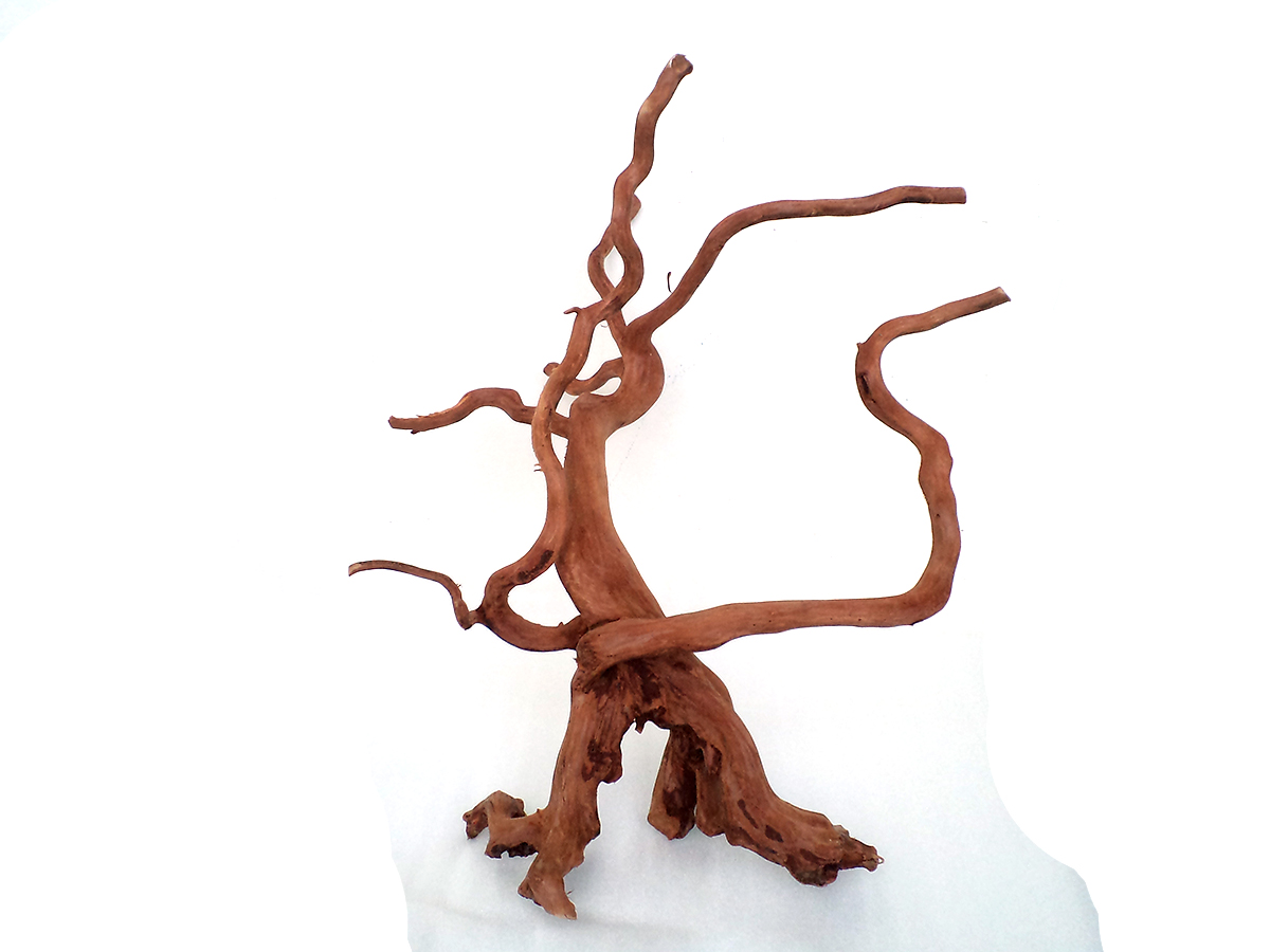 รากไม้แดงตกแต่งตู้ปลาหรือใช้เลี้ยงสัตว์เลื้อยคลาน ขนาดใหญ่ สูง 17 นิ้ว 026