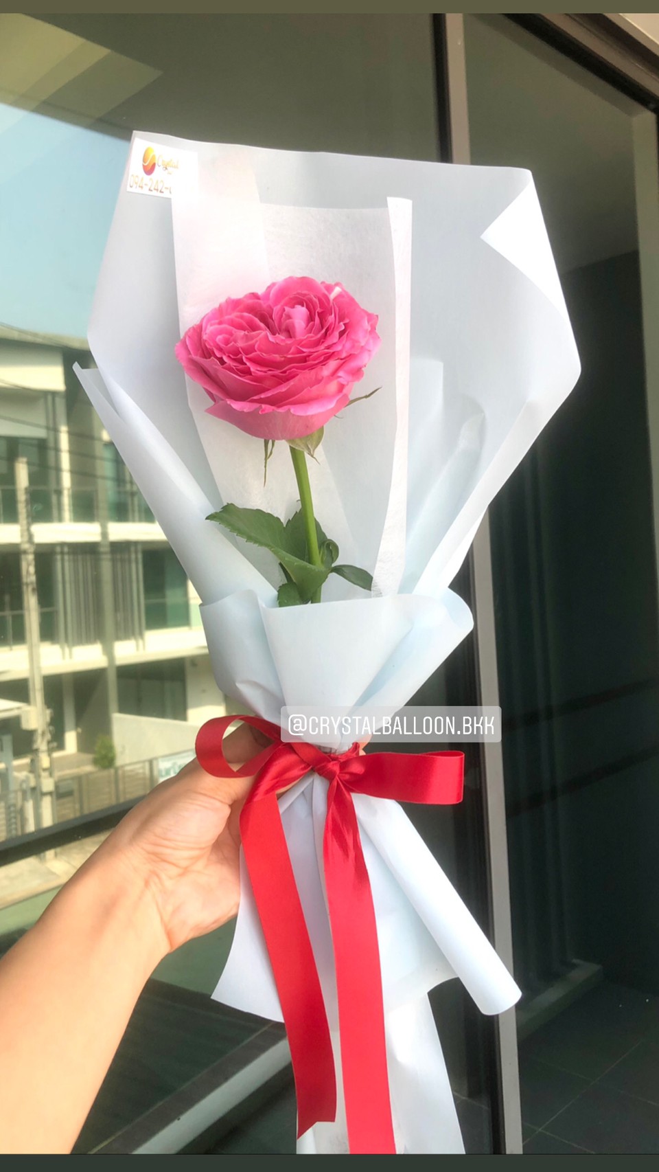 Single Ecuador Rose สามารถเปลี่ยนสีกระดาษได้ (สั่งด่วน เลือกจากที่ร้านมี)