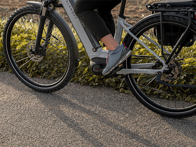 บันไดจักรยาน ERGON PT PEDAL 2023