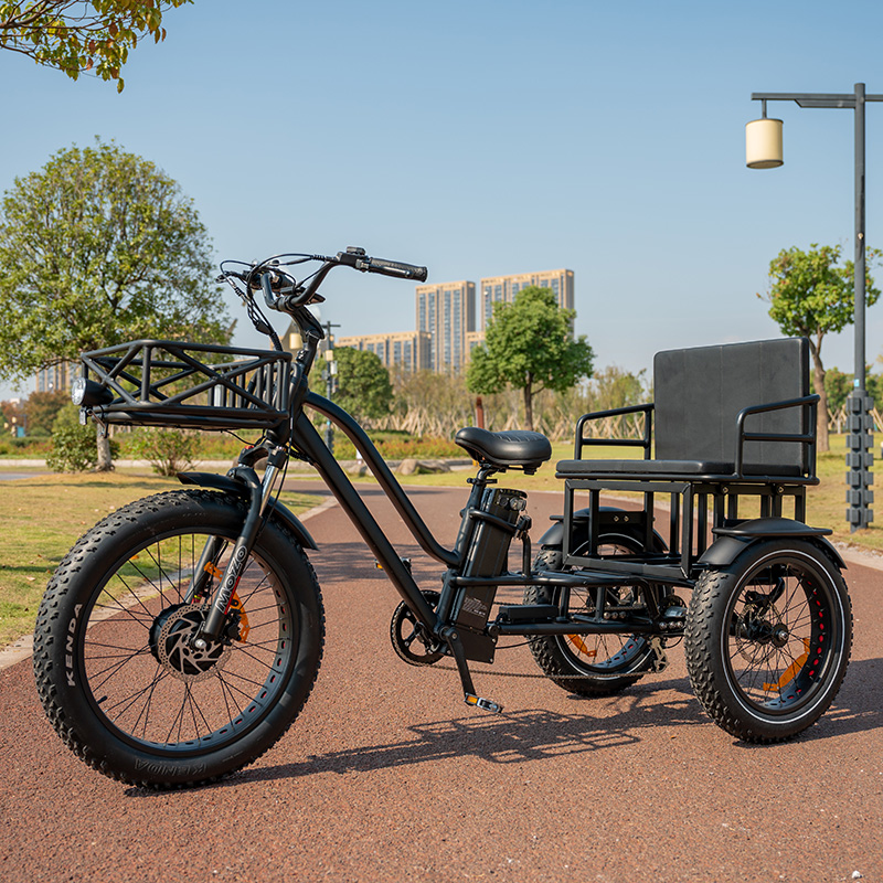 จักรยานไฟฟ้าสามล้อ OTMAR OTM-T14 750W | แบต Samsung 48V | วิ่งไกล 120 กม. | รับน้ำหนัก 185 กก.