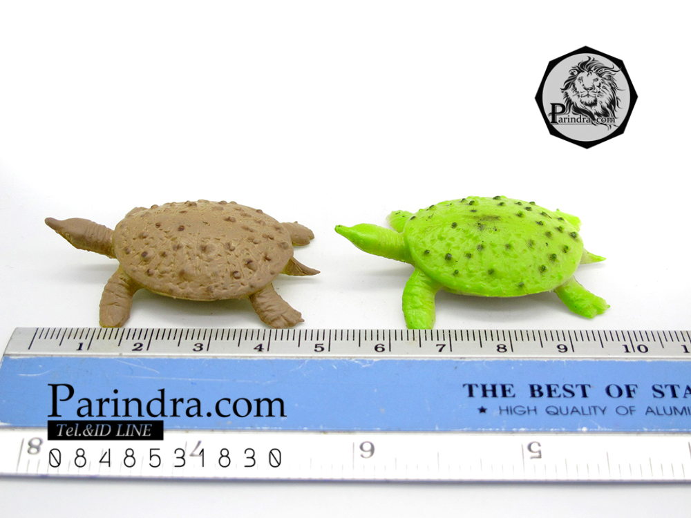 โมเดลตะพาบน้ำ ชุดคู่สองตัว