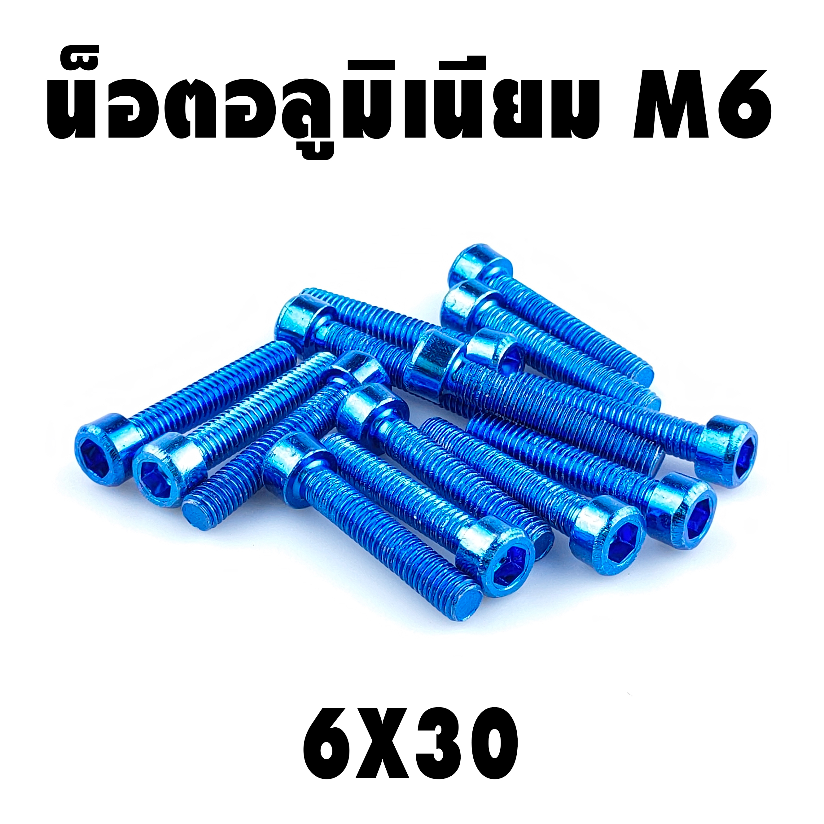 น็อตแต่ง อลูมิเนียม 6*30 (เบอร์ 10) ชุดละ 10 ตัว ราคา 100 บาท