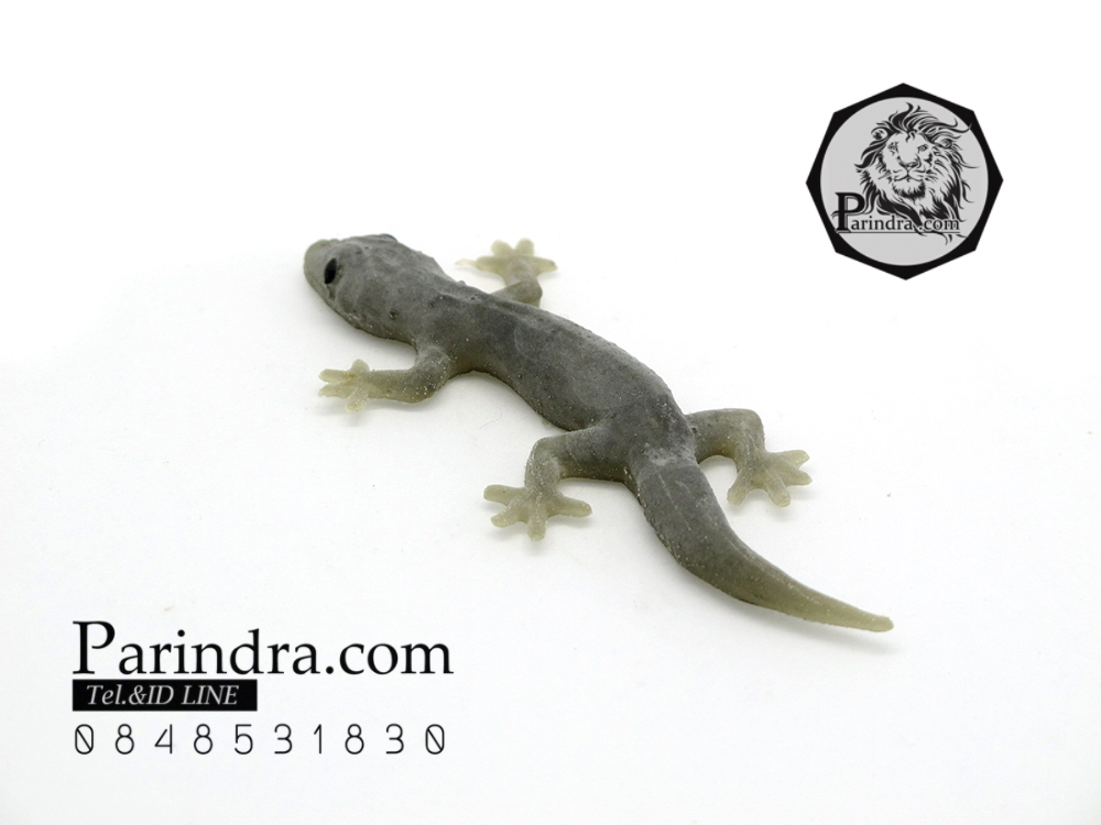 จิ้งจกปลอม จิ้งจกตาดำ แกล้งคน แกล้งเพื่อน เหมือนมาก