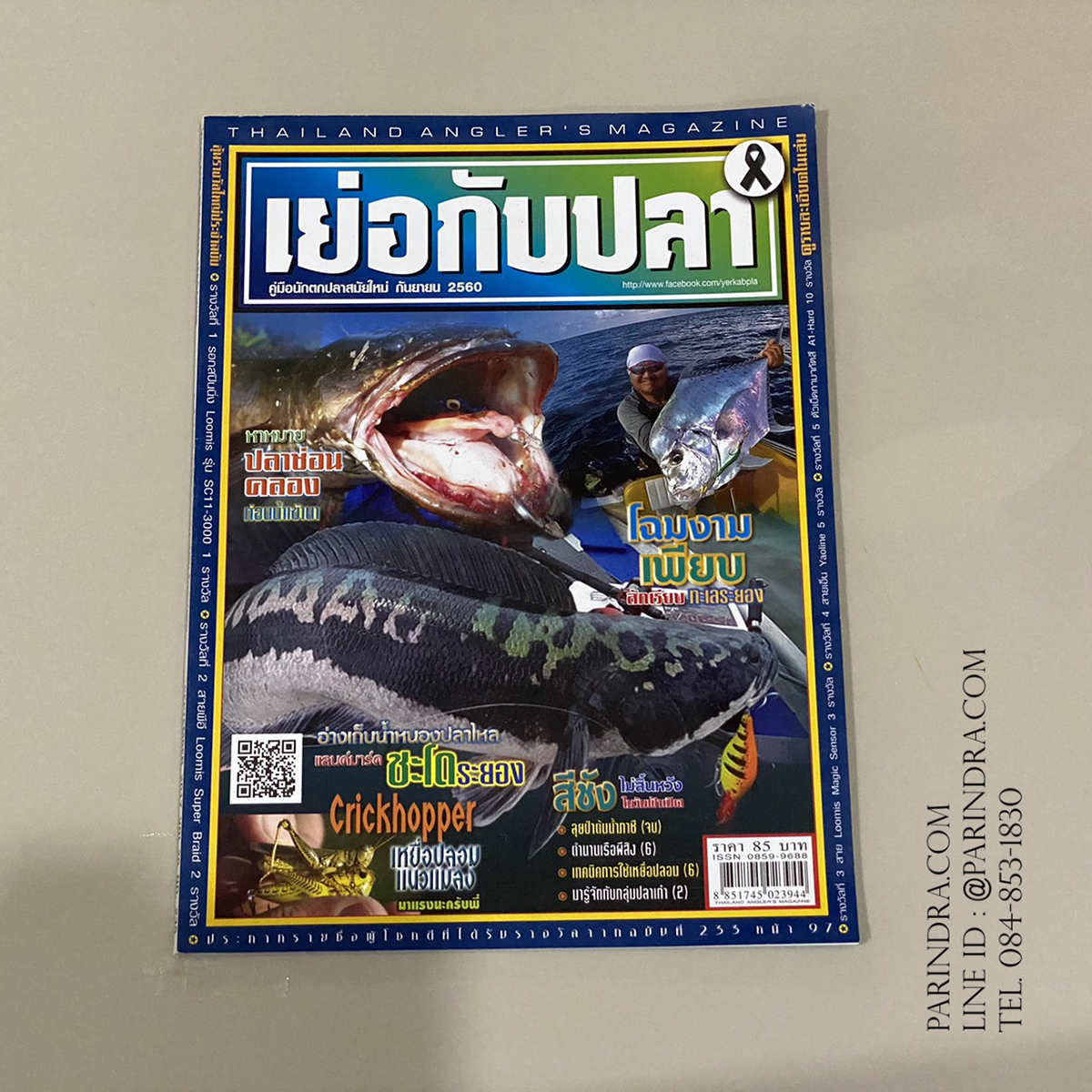 นิตยสาร เย่อกับปลา หน้าปก ปลาช่อนคลอง โฉมงาม ชะโด ระยอง ฉบับที่ 233 เดือนกันยายน ปี 2560