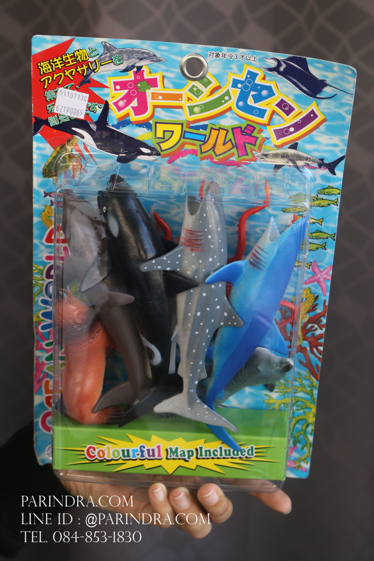 โมเดลชุดสัตว์ทะเลรวม