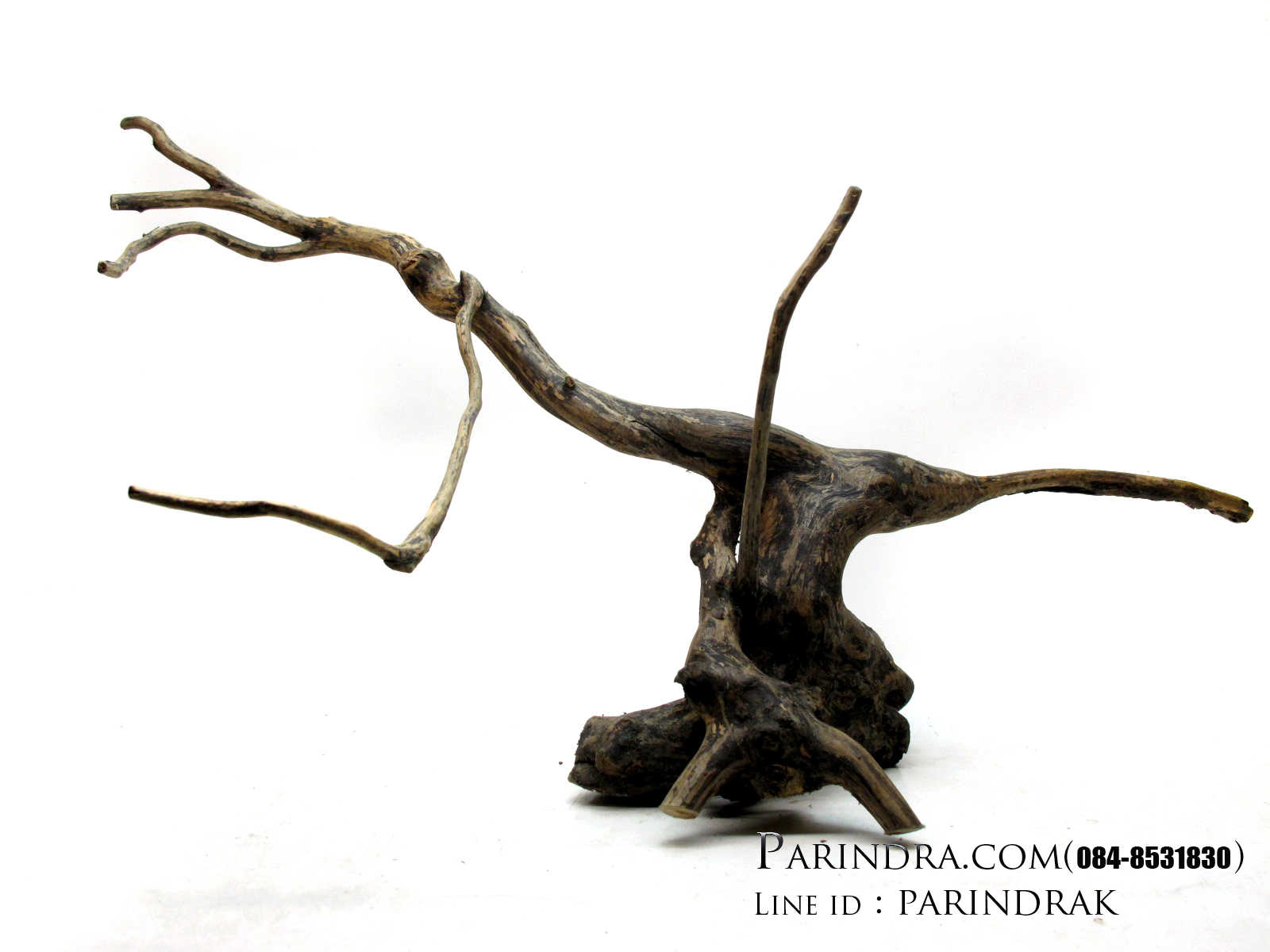 ขอนไม้ตกแต่งตู้ปลาหรือใช้เลี้ยงสัตว์เลื้อยคลาน 002