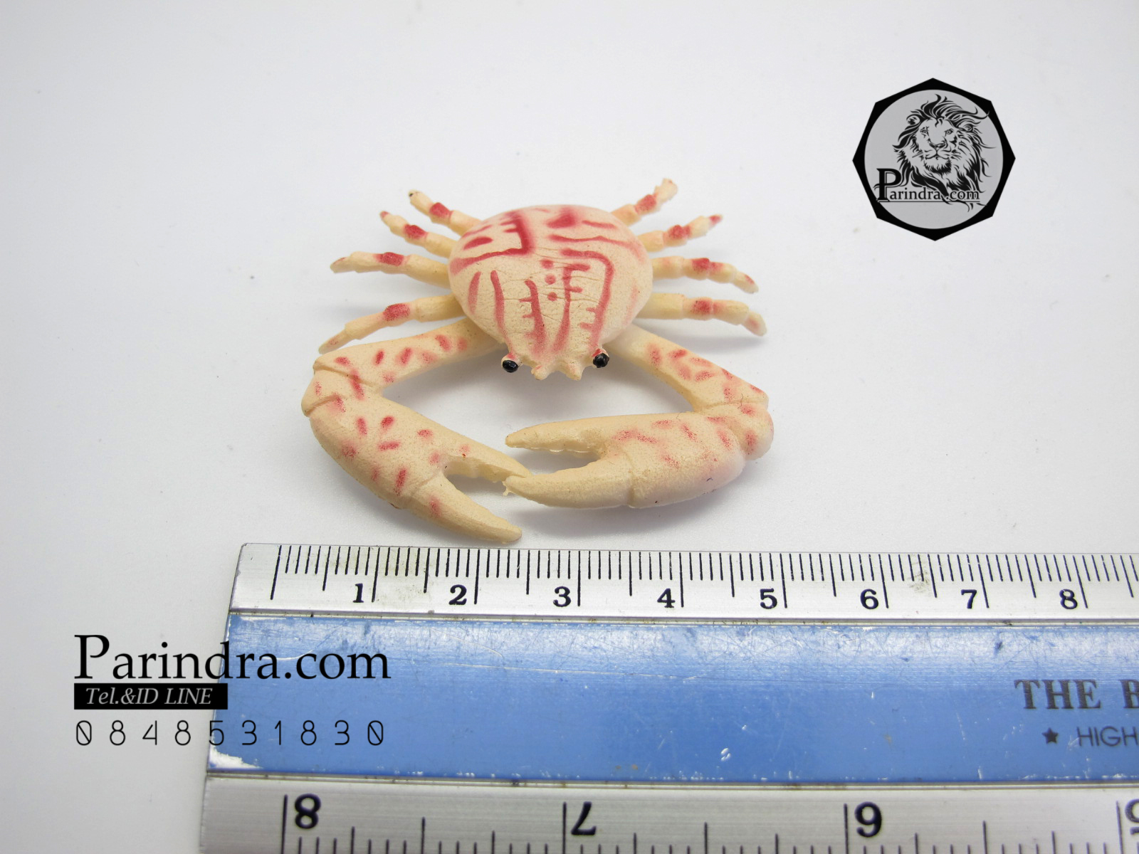 โมเดลชุดปูทะเล Educational Toys SEA CRAB มีหลายสีหลายชนิด ครบชุด 6 ตัว