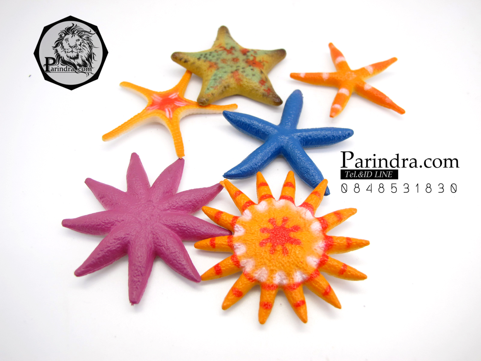 โมเดลดาวทะเลชุด Educational Toys Sea Star Fish