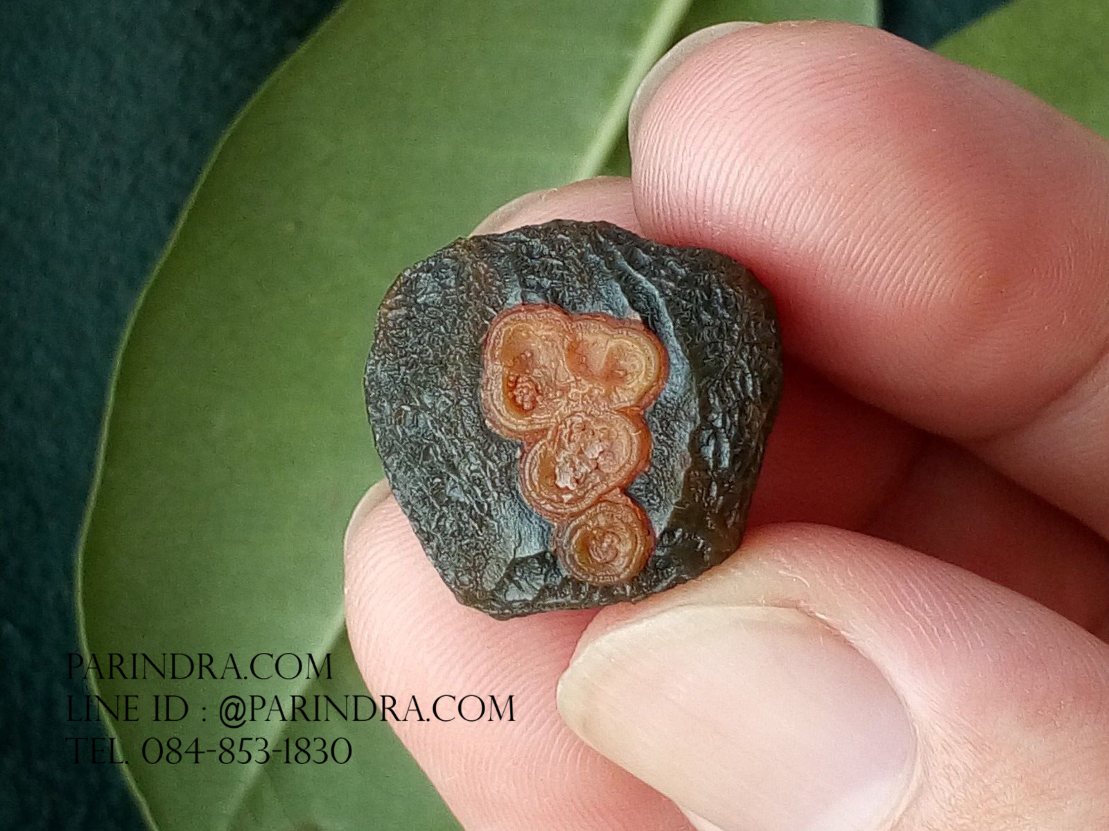 หินรูปทรงประหลาดจากทะเลทรายโกบี GOBI Eye Stone #GOBI004